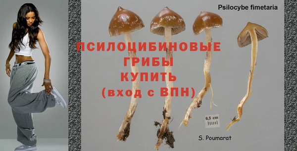ALPHA-PVP Армянск