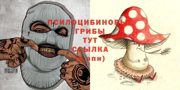 mix Аркадак