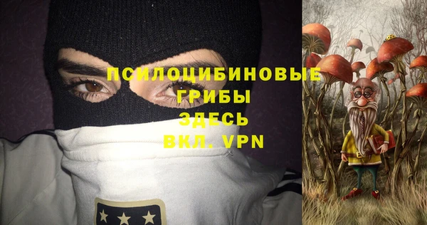 ешки Слюдянка