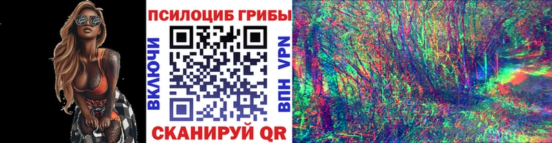 Галлюциногенные грибы Psilocybe  Устюжна 